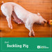 Leitão Inteiro - Whole Suckling Pig Fresh - (Aprox. 6Kg-7kg) - Produtos Brasileiros